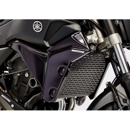 accessoire moto en carbone protection moto carbone chez equip'moto