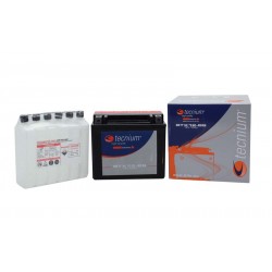 Batterie moto 12 volts sans entretien YTX14-BS BTX14-BS